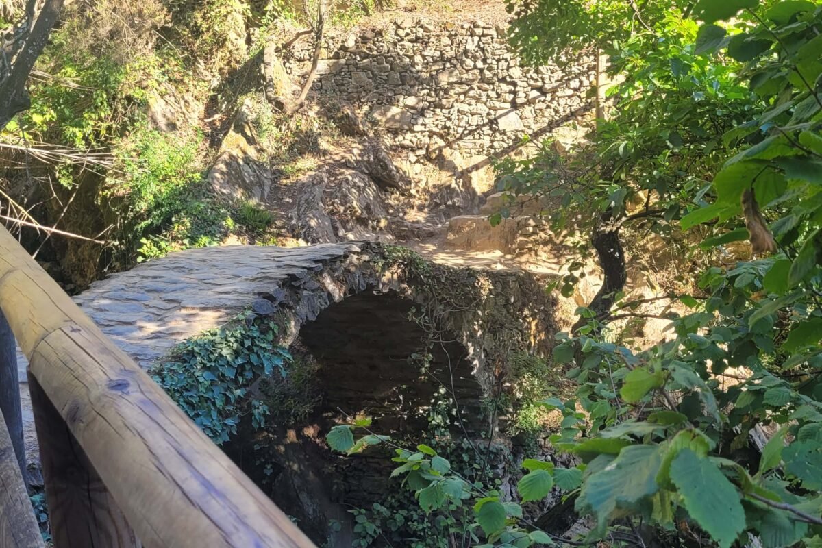 Widok na kamienny most pośród zarośli. W tle jest fragment kamiennego muru.