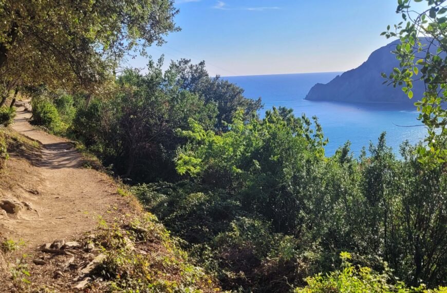 Fragment szlaku prowadzącego z Monterosso do Vernazzy. Na pierwszym planie widoczna jest złotobrązowa piaszczysta ścieżka. Po lewej stronie widać drzewo, pochylone w stronę ścieżki. Z prawej strony ścieżki jest urwisko, widać korony drzew i roślinność na zboczu. W tle widoczna jest zatoka - lazurowe morze i fragment lądu. Pogoda jest słoneczna, zdjęcie zrobione późnym popołudniem.