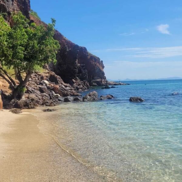 Wybrzeże - krystalicznie czysta błękitna woda obmywa plażę ze złotym (jasnopomarańczowym) piaskiem. Na końcu plaży widać szare kamienie przy klifie i samotne drzewo z zieloną koroną.